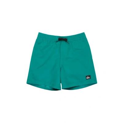 Afbeelding van Quiksilver Everyday Solid 14&quot; Zwemshort Junior