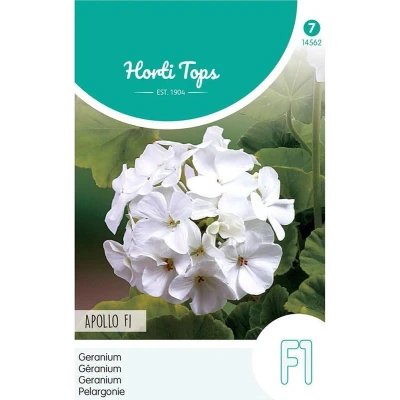 Afbeelding van Pelargonium, Geranium Apollo Wit F1