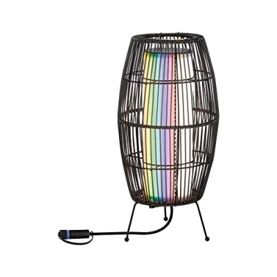 Afbeelding van Paulmann Basket 94754 Verlichtingssysteem Plug&amp;Shine Decoratieve LED lamp 3.2 W Warmwit Zwart