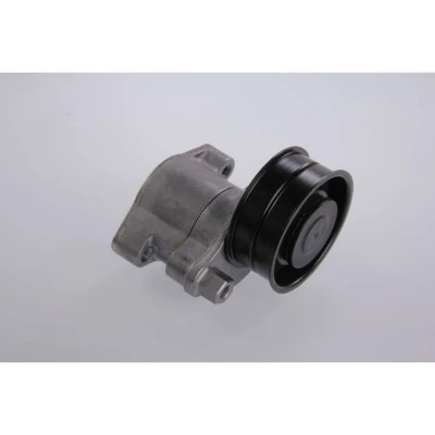 Afbeelding van SKF Spanrol (poly) V riem VKMCV 57001