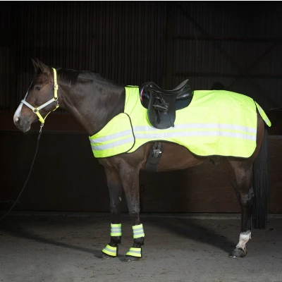 Afbeelding van Harry&#039;s Horse Uitrijdeken Reflective M Kleurloos