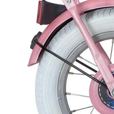 Afbeelding van Alpina Spatbord set 12 Cargo matt pink