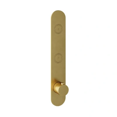 Afbeelding van HotBath Cobber PB066 afbouwdeel voor inbouwthermostaat met 2 pushbuttons geschikt verticale plaatsing Geborsteld Messing PVD