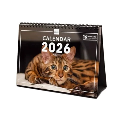 Afbeelding van Finocam Desktop Calendar 2026 Month to View January December + Sep. Dec. 2025 (4 months) reduced Images Cats International