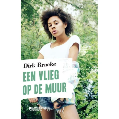 Afbeelding van Een vlieg op de muur (Hardback)