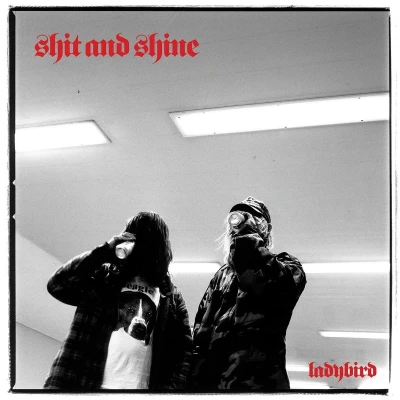 Afbeelding van Shit and Shine Ladybird (LP)