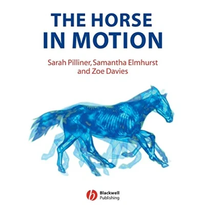 Afbeelding van The Horse In Motion