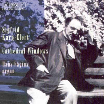 Afbeelding van Hans Fagius Organ Works Vol 2 (CD)