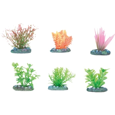 Afbeelding van Aquarium plant Voorgrond +/ 5 x cm