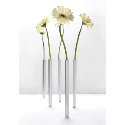 Afbeelding van Magnetische Vaasjes (set van 5) Peleg Design