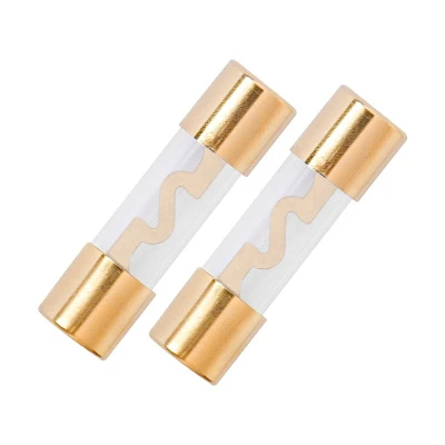 Afbeelding van 2 stuks AGU zekeringen 40A glazen buis goud gecoat auto power bescherming lijn audio