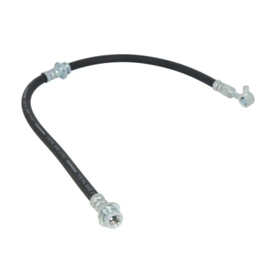 Afbeelding van Remslang DELPHI LH6851