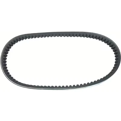 Afbeelding van CVT aandrijfriem GATES 31805