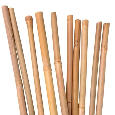Afbeelding van UNUS Bamboestokken, 25 stuks, plantenstaven, bamboe, 105 cm, natuurlijke kleur