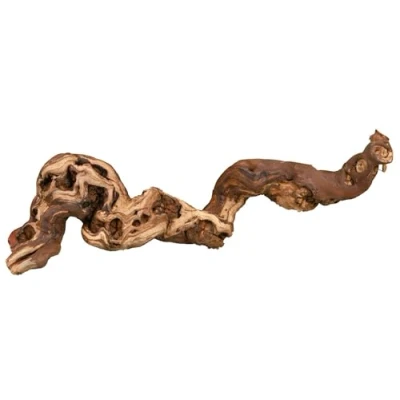 Afbeelding van Trixie 76169 5 wijnstokken, waterstraald, M: 30 40 cm, stuks