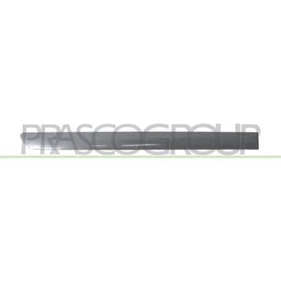 Afbeelding van Sier / beschermingspaneel, deur PRASCO VG0401463