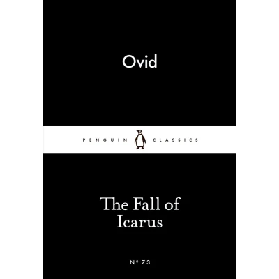 Afbeelding van The Fall of Icarus