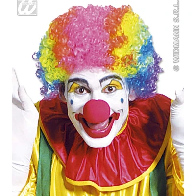 Afbeelding van Widmann Clown &amp; Nar Kostuum Pruik, Meerkleurig Met Krullen Multicolor Carnavalskleding Verkleedkleding