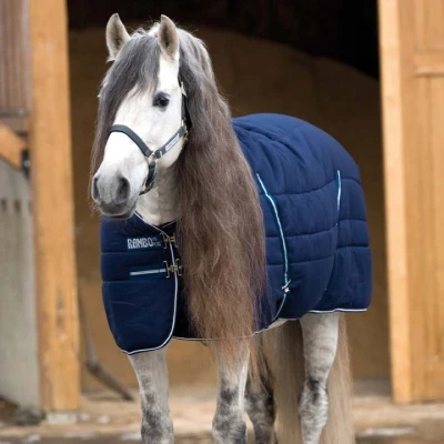 Afbeelding van Rambo Stable Heavy 400g