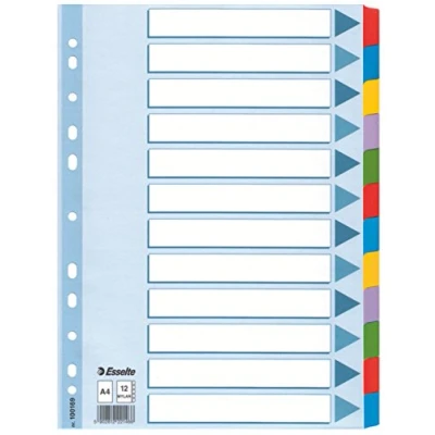 Afbeelding van Leitz Esselte tabbladen voor A4, omslag en 12 met tabs, blauw/meerkleurig, gerecycled karton, 100169