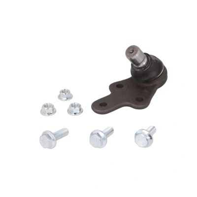 Afbeelding van Moog Fuseekogel VV BJ 13892