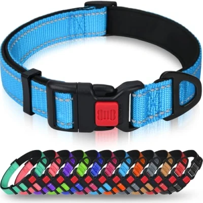 Afbeelding van Taglory Reflecterende nylon hondenhalsband met veiligheidsgesp, verstelbare halsband, zachte neopreen voering, voor kleine honden, hemelsblauw