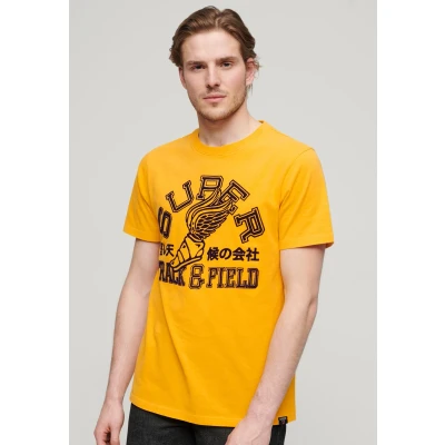 Afbeelding van Superdry Track Field Athletic Graphic Tshirt print, Heren, Maat: Medium, Utah gold