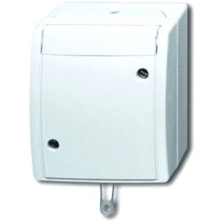 Afbeelding van Abb busch jaeger trekschakelaar wissel opbouw ip44 ocean alpin 2cka001383a0143