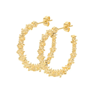 Afbeelding van Caviaar iXXXi Earstuds Goud