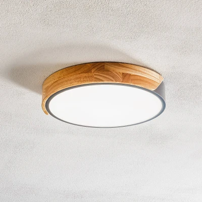 Afbeelding van näve Led plafondlamp Borneo (1 stuk)