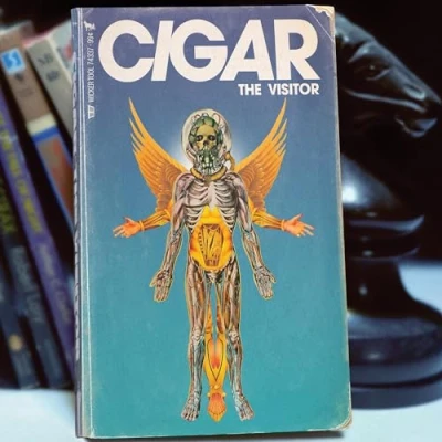 Afbeelding van Cigar The Visitor (CD)