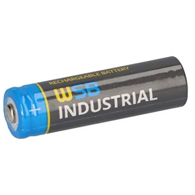 Afbeelding van WSB LiFePo4 Oplaadbare batterij op zonne energie, 3,2 V, 1,92 Wh, accu, speciaal voor zonnelampen
