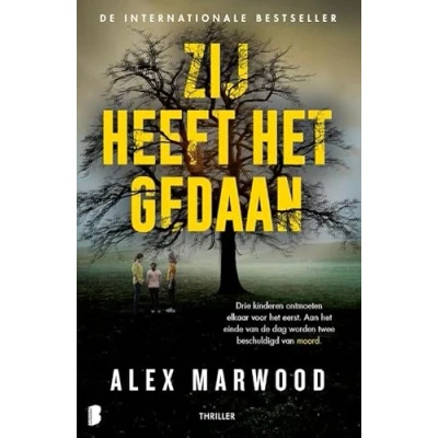 Afbeelding van Zij heeft het gedaan: Drie kinderen ontmoeten elkaar voor eerst. Aan einde van de dag worden twee beschuldigd moord.