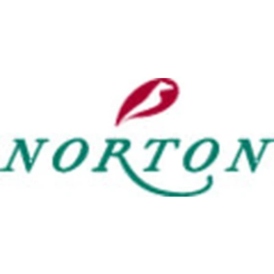 Afbeelding van Norton Pro Kluisters van verchroomd leder en vilt
