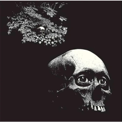 Afbeelding van Osees A Foul Form (LP)