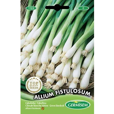 Afbeelding van Germisem EC1123 Allium Fistulosum Bieslook Zaden 2 g