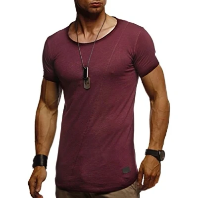 Afbeelding van Leif Nelson T shirt voor heren, zomer, ronde hals, 100% katoen, regular fit, kraag, casual basic heren met korte mouwen, bordeaux, L