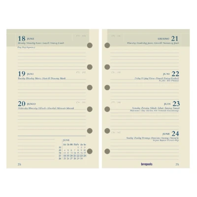 Afbeelding van AGENDAVULLING BREFAX 27 CALENDARIUM WEEK/2P 2010