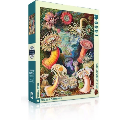 Afbeelding van New York Puzzle Company Zeeanemonen 1000 stukjes