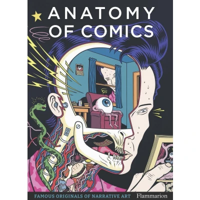 Afbeelding van Anatomy of Comics: Famous Originals Narrative Art