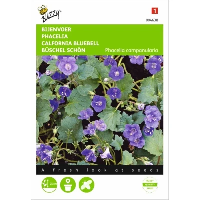 Afbeelding van Phacelia, Bijenvoer