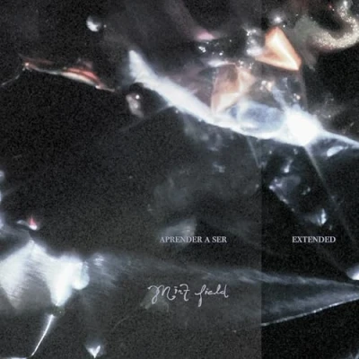 Afbeelding van Mint Field Aprender a Ser: Extended (LP)