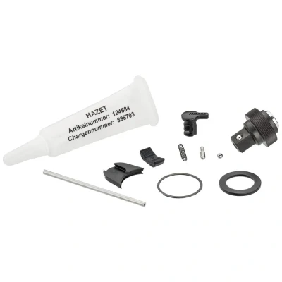 Afbeelding van Hazet 863HPS/11 Set reserveonderdelen Aandrijving 1/4 (6.3 mm) 1 stuk(s)