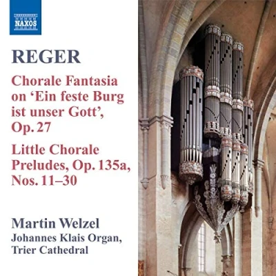 Afbeelding van Welzel Organ Music Volume 8 (CD)