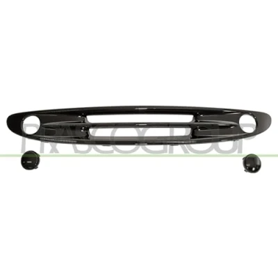 Afbeelding van Radiateurgrille PRASCO ME3042011