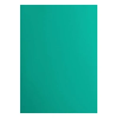 Afbeelding van Vaessen Creative Florence Cardstock papier, 2927 060, groen, 216 g/m², DIN A4, 10 stuks, glad, voor scrapbooking, kaarten maken, stansen en ander papierknutselwerk