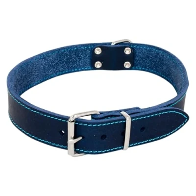 Afbeelding van Jack And Vanilla Halsbanden Jv Vetleder Halsband Blauw 10mmx25cm 45/7610 228653
