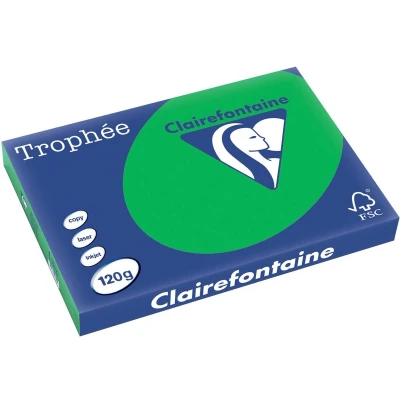 Afbeelding van Clairefontaine Trophée Intens, gekleurd papier, A3, 120 g, 250 vel, bijartgroen papier