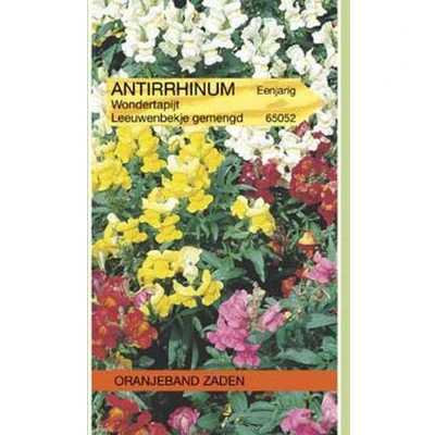 Afbeelding van Antirrhinum, Leeuwenbekje Tom Thumb