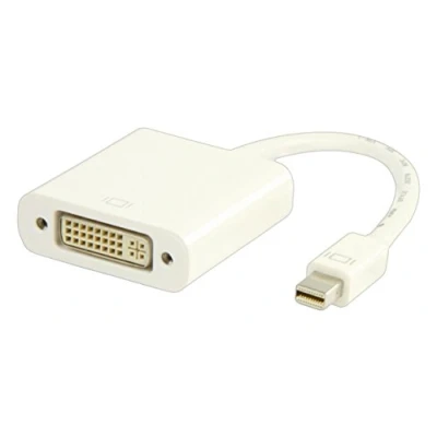 Afbeelding van Valueline Mini DisplayPort DVI Adapter Wit 0.2 meter